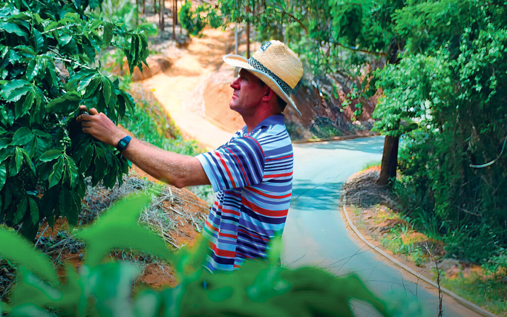 Agronegócio Capixaba: Pilar Fundamental da Economia do Espírito Santo