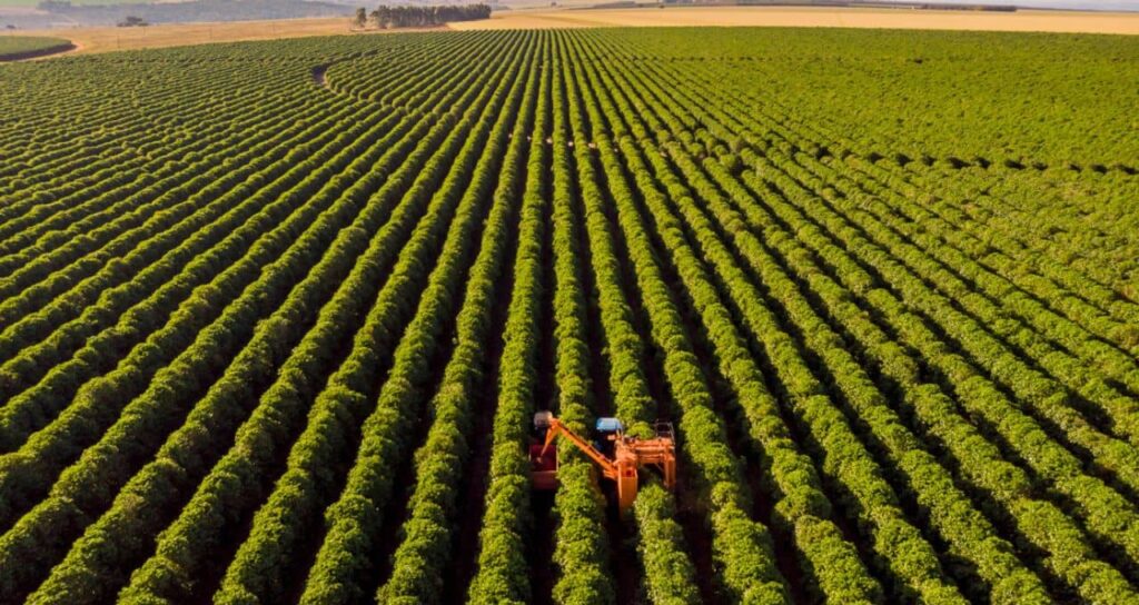 Análise do BTG: Inadimplência no Agronegócio Pode Aumentar, Mas Banco do Brasil Prevê Recuperação