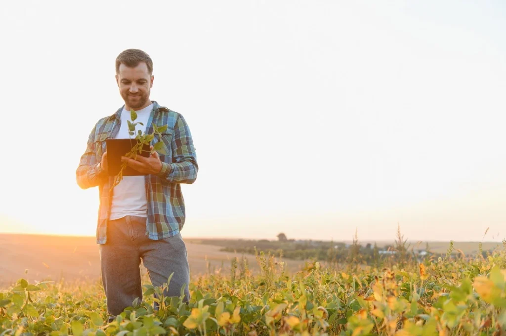 Cargill Abre Vagas de Estágio com Foco no Agronegócio da Bahia e Maranhão em 2026