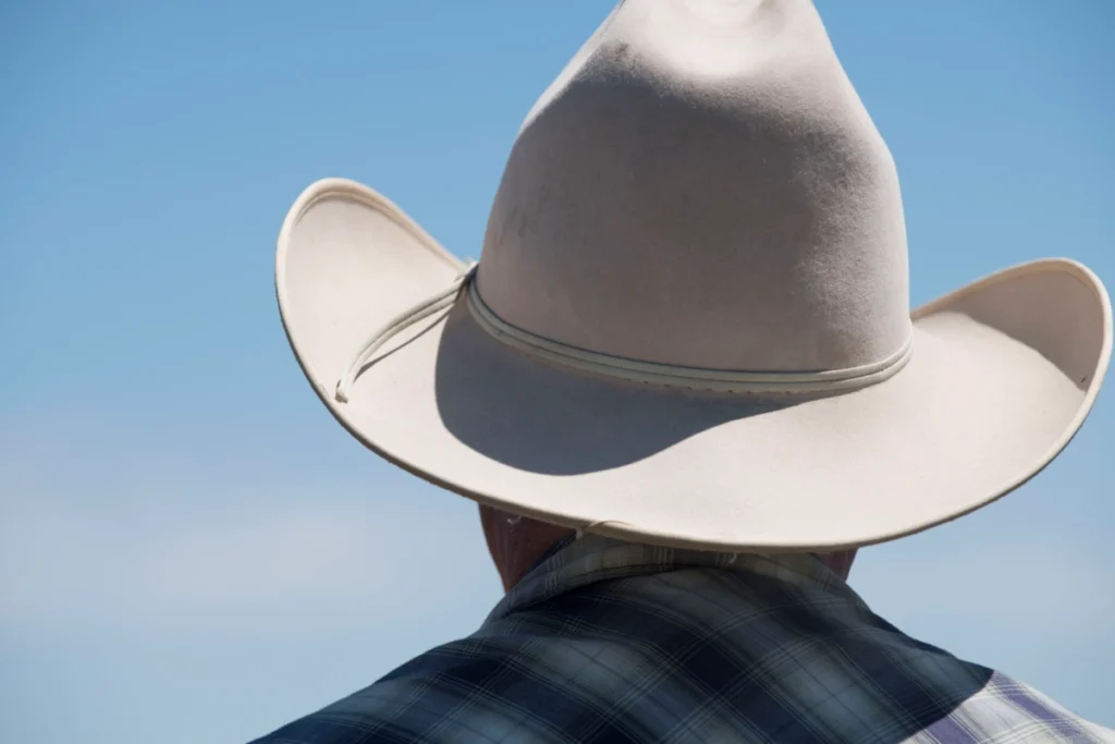 Conflito de Interesses: Agronegócio e Energia Tentam Reverter Criação do Parque Marinho no Brasil Conflito de Interesses: Agronegócio e Energia Tentam Reverter Criação do Parque Marinho no Brasil