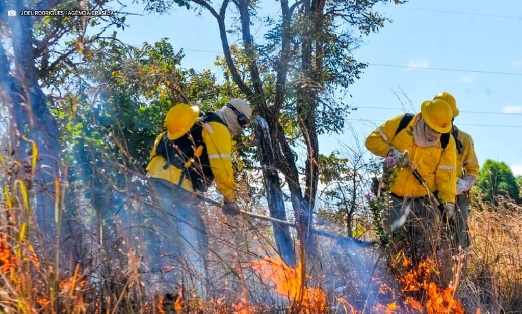 Curso de Formação de Brigadistas Aumenta Capacitação para Combate a Incêndios Florestais no DF
