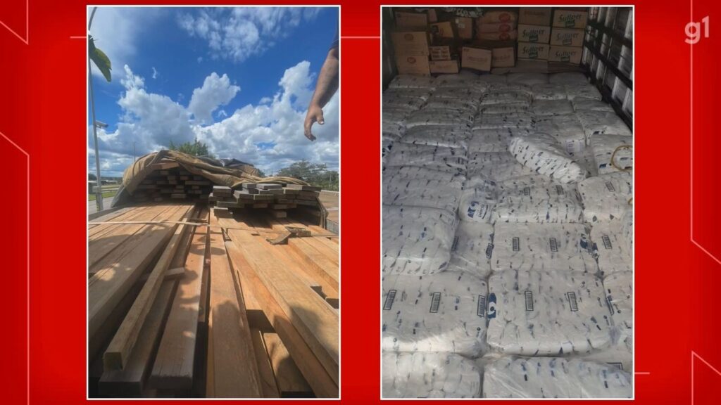 Fiscalização no DF: R$ 7,3 milhões em mercadorias irregulares apreendidas Fiscalização no DF: R$ 7,3 milhões em mercadorias irregulares apreendidas