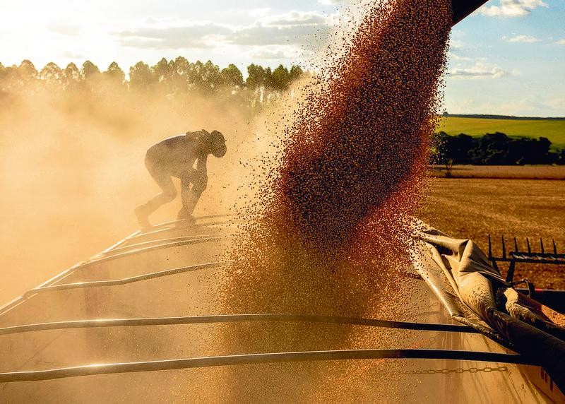 Práticas Sustentáveis: Impulsionando o Agronegócio Brasileiro Práticas Sustentáveis: Impulsionando o Agronegócio Brasileiro