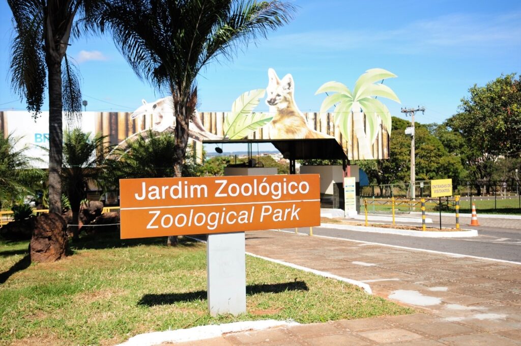 Zoológico de Brasília: 66 Anos de História com Programação Especial e Gratuita Zoológico de Brasília: 66 Anos de História com Programação Especial e Gratuita
