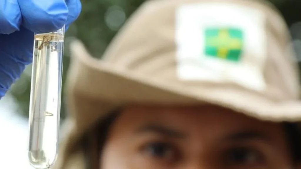 Distribuição Gratuita de Repelentes no DF: Ação Essencial contra a Dengue em 2024