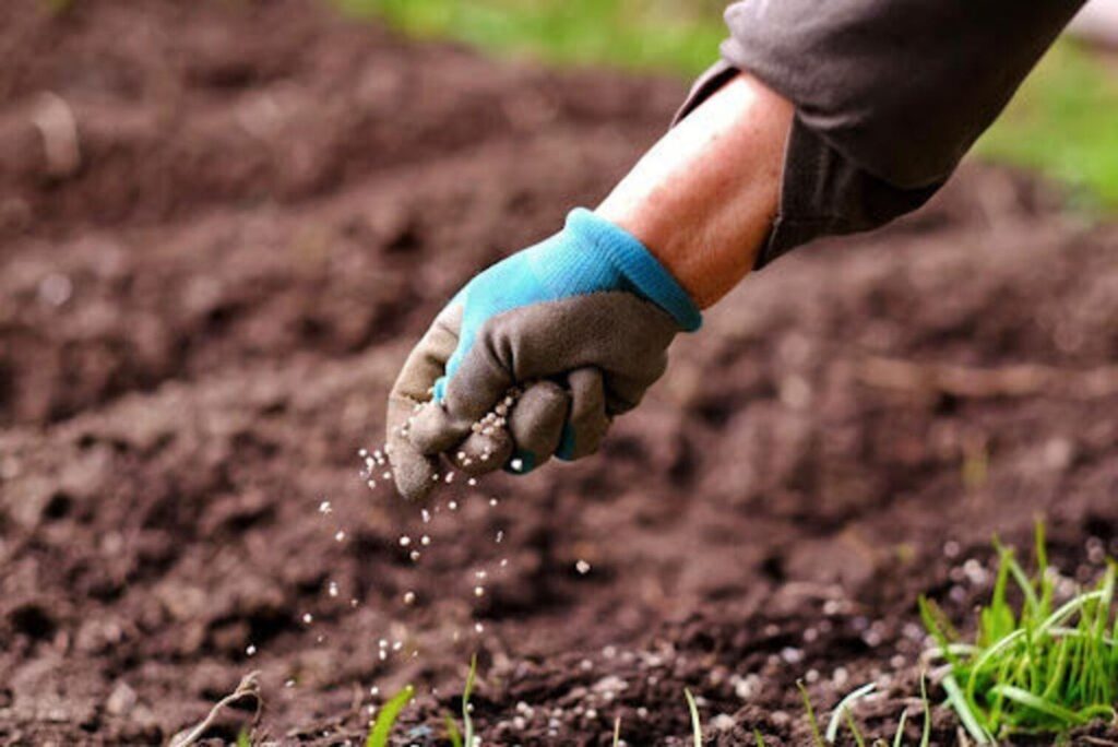 Crise no Irã eleva preços de fertilizantes e impacta o agronegócio brasileiro