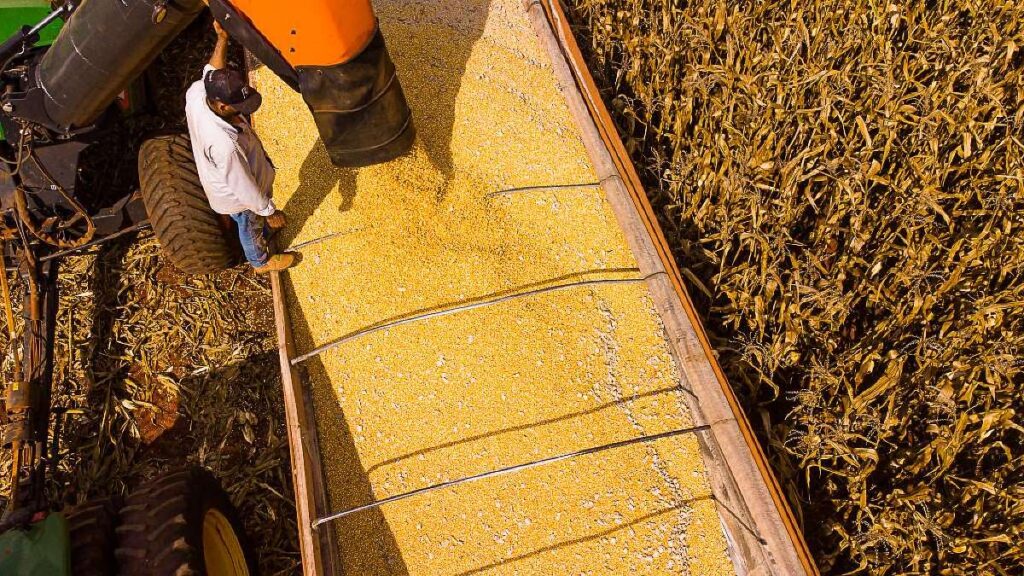 Mato Grosso Se Destaca na Produção Agropecuária com Expectativa de R$ 206 Bilhões em 2026