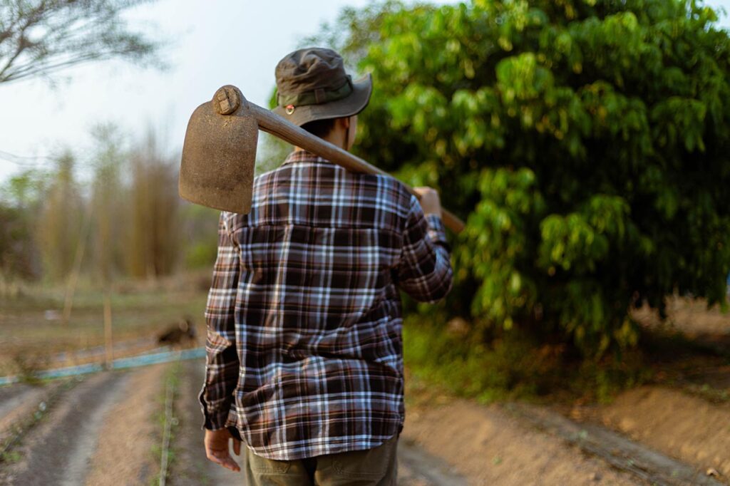O Agronegócio Brasileiro: Um Gigante em Crescimento e Geração de Empregos