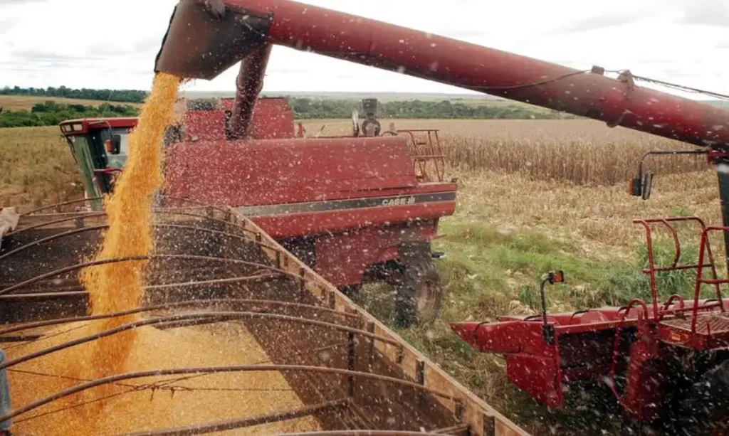 Recuperação do Agronegócio: Novo Cenário de Crédito Exige Adaptação