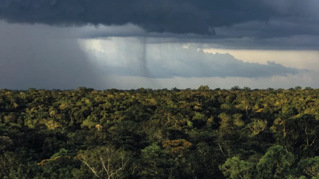 Mudanças Climáticas e Desmatamento Agravam Sensibilidade do Regime de Chuvas na Amazônia Mudanças Climáticas e Desmatamento Agravam Sensibilidade do Regime de Chuvas na Amazônia