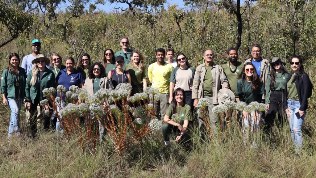 Servidores do Brasília Ambiental fazem visita guiada à ARIE Granja do Ipê e conhecem biodiversidade