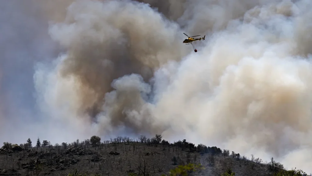 Incêndios florestais devastam 17 mil hectares na Europa em meio ao calor extremo