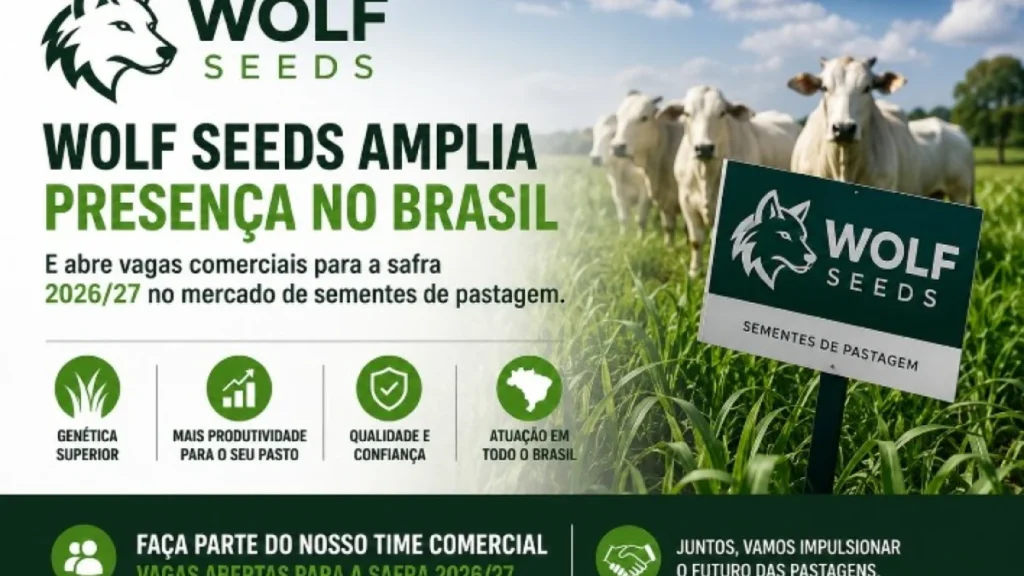 Wolf Seeds expande atuação no Brasil e abre vagas comerciais para safra 2026/27