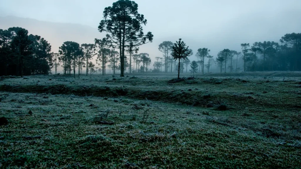 Clima em Julho 2026: Frio Intenso e Chuva Acima da Média no Brasil Clima em Julho 2026: Frio Intenso e Chuva Acima da Média no Brasil