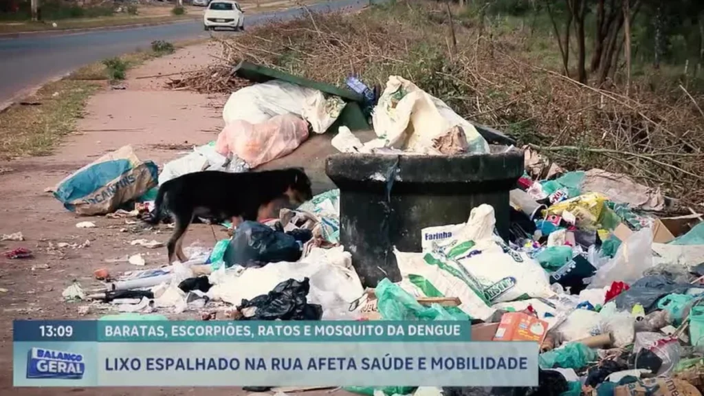 Descarte Ilegal de Resíduos Aumenta Riscos Ambientais no Distrito Federal Descarte Ilegal de Resíduos Aumenta Riscos Ambientais no Distrito Federal