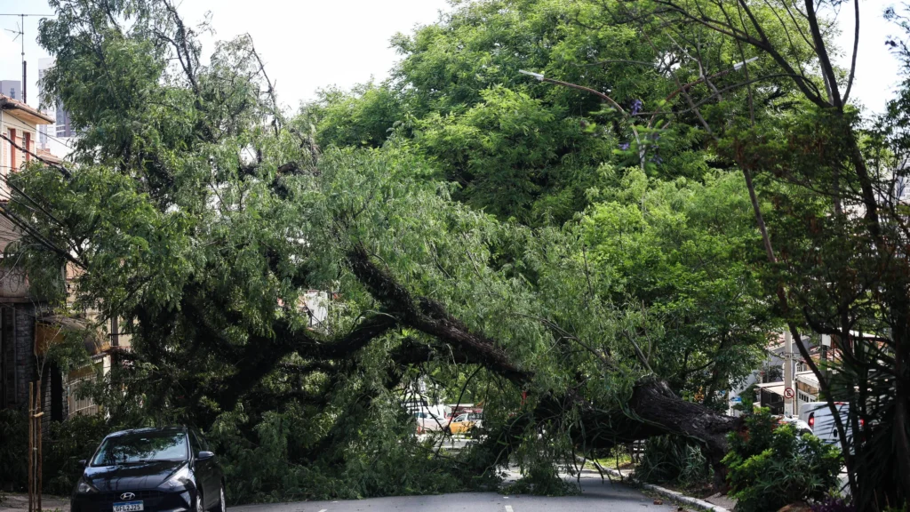 Mais da Metade de São Paulo em Alerta Vermelho para Ventos Fortes do Ciclone-Bomba Mais da Metade de São Paulo em Alerta Vermelho para Ventos Fortes do Ciclone-Bomba